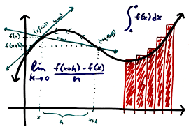 profesor de cálculo diferencial e integral